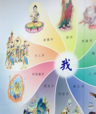 佛教的十法界的四圣六凡是什么？
