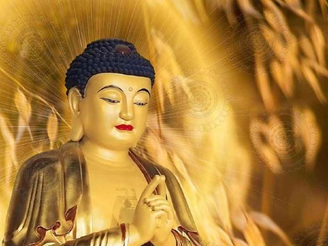 禅师讲解大乘佛法是什么
