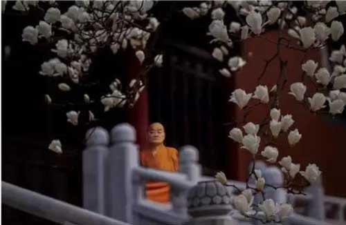 佛教十小咒全文